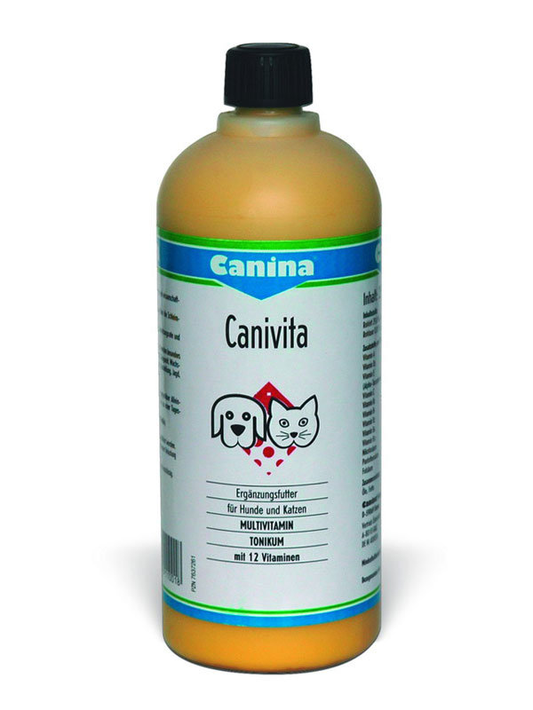  Canina