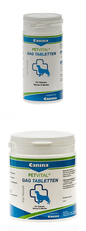  Canina
