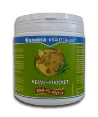  Canina