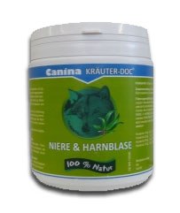  Canina