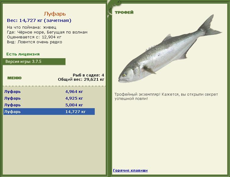 Золотой дорадо 