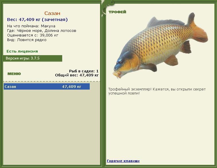 Золотой дорадо 