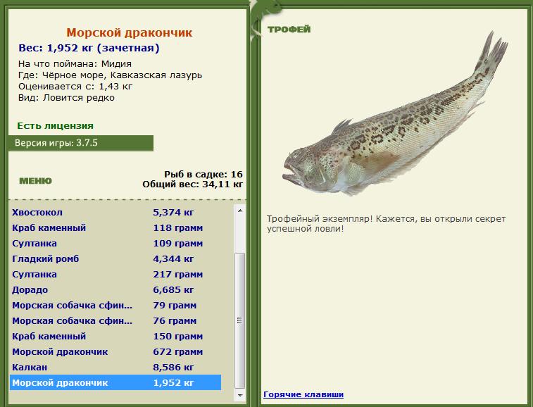 Золотой дорадо 