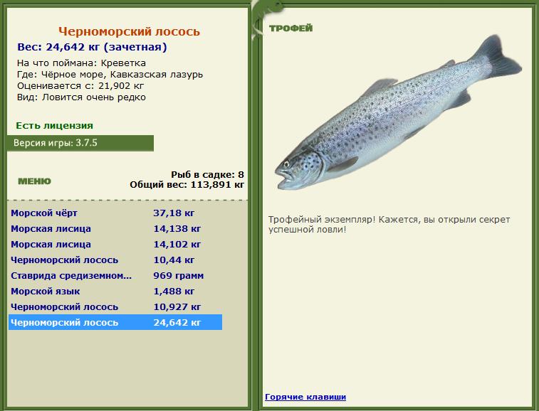 Золотой дорадо 