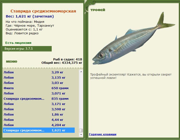 Золотой дорадо 