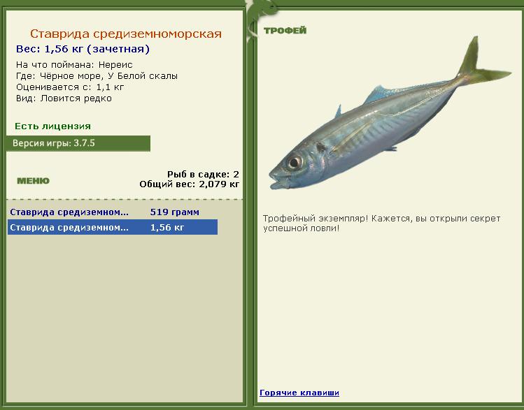 Золотой дорадо 
