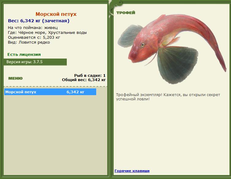 Золотой дорадо 
