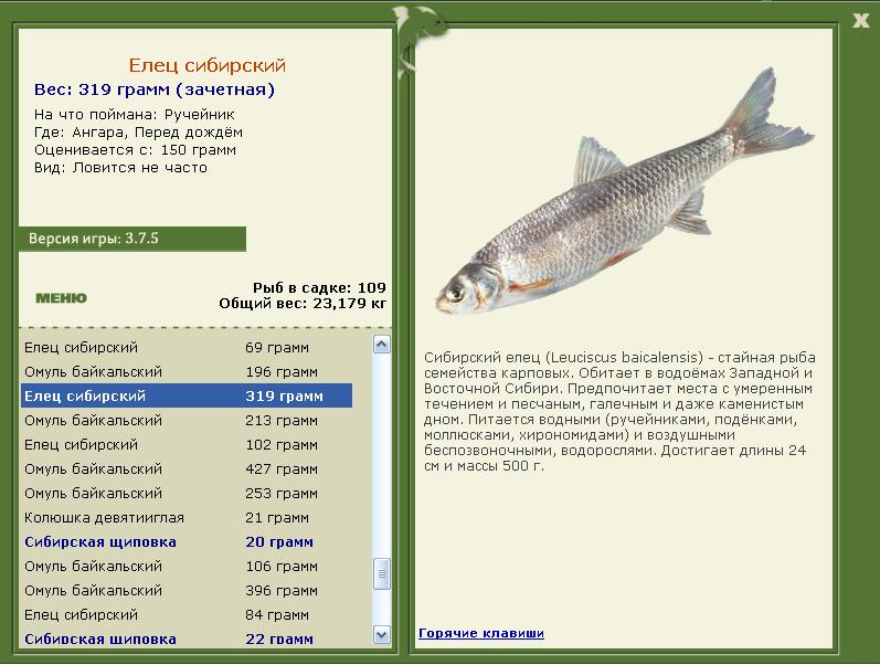 РУССКАЯ РЫБАЛКА Installsoft Edition 