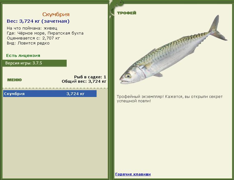 Живец 