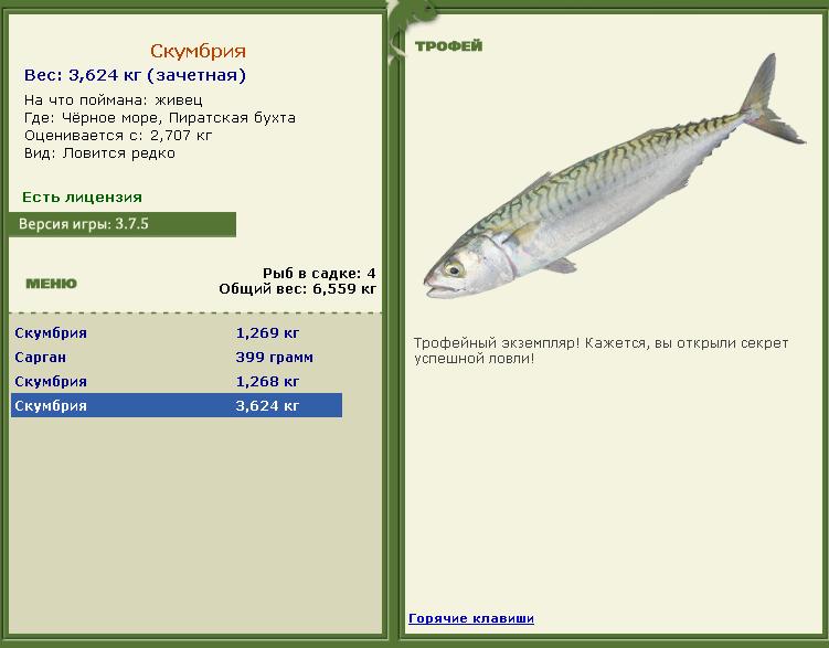 Живец 