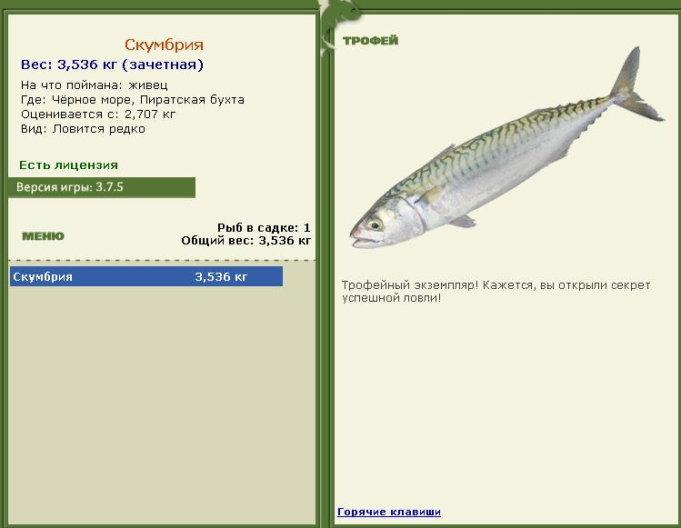 Живец 