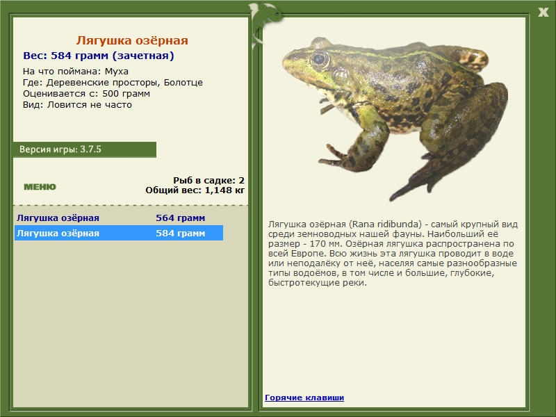 Болотце 