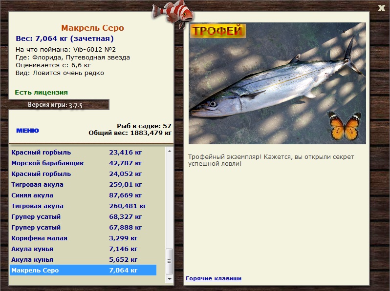 Путеводная звезда 