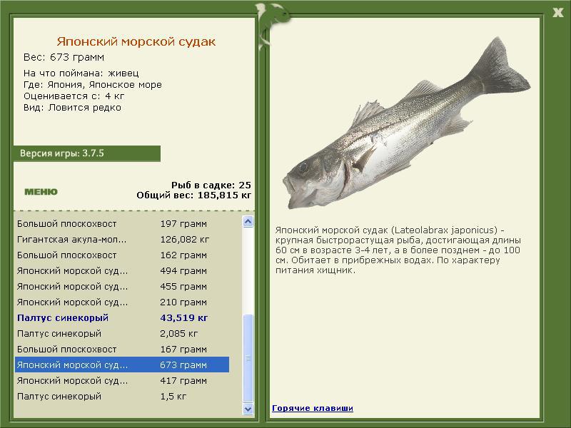 Японское море 