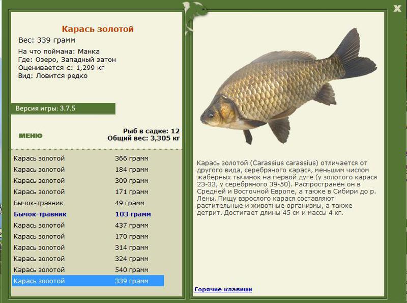 РУССКАЯ РЫБАЛКА Installsoft Edition 