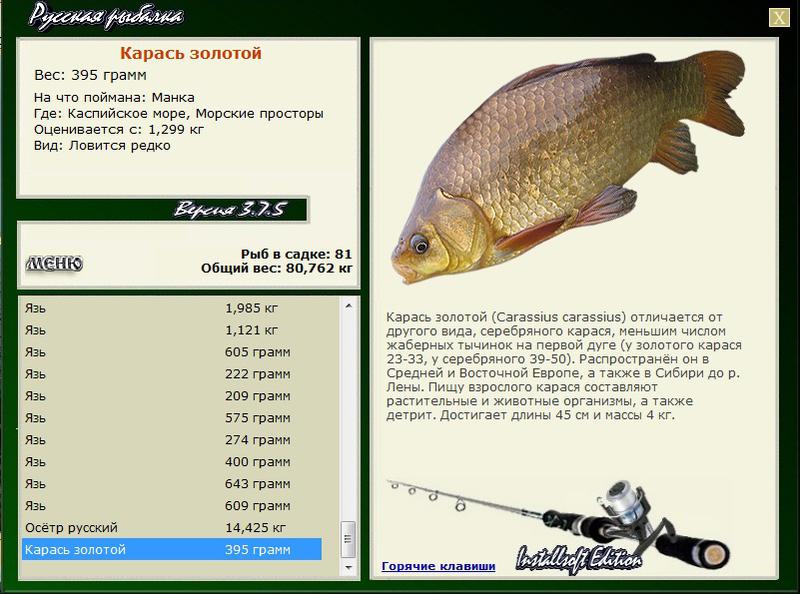 Морские просторы 