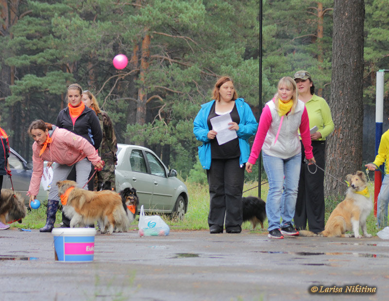 http://forumimage.ru/uploads/20150928/144344015698188657.jpg
