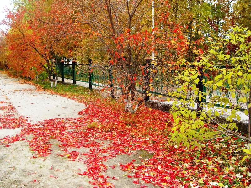 Фото Осеннее Очарование