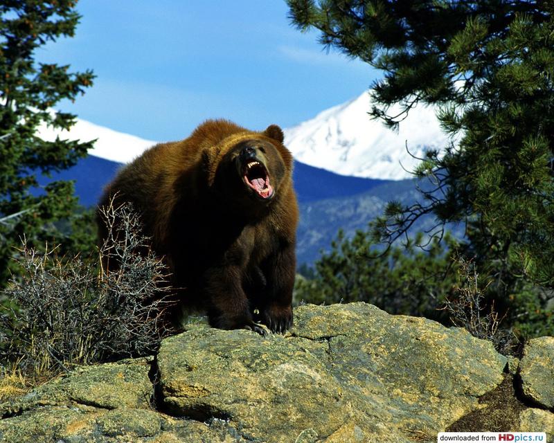  Империя Сил, сателлит Империи Джиору