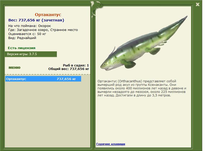 Странное место 