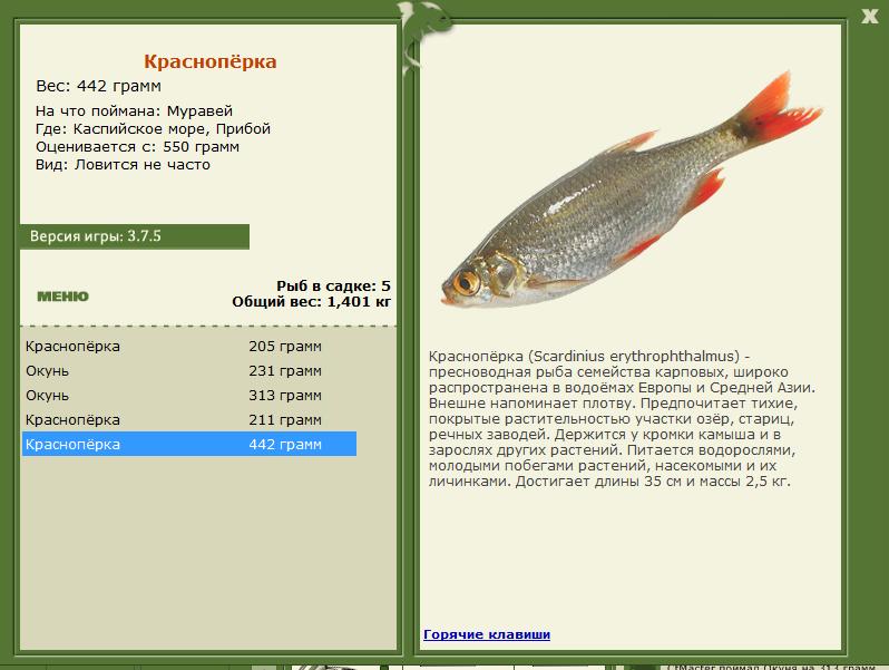 РУССКАЯ РЫБАЛКА Installsoft Edition 