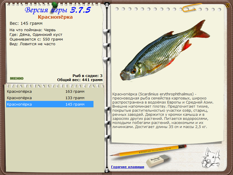 РУССКАЯ РЫБАЛКА Installsoft Edition 