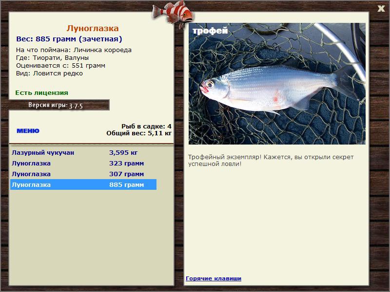 турниры • РУССКАЯ РЫБАЛКА