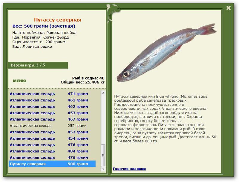 Рыбы Семейства Тресковых Названия И Фото