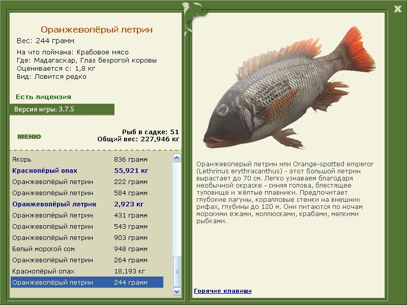 Глаз безрогой коровы 