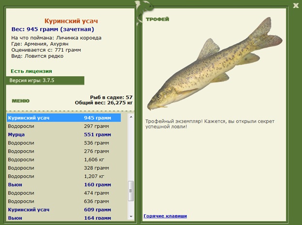 Куринский усач 