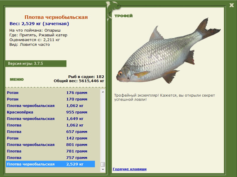 Плотва чернобыльская 