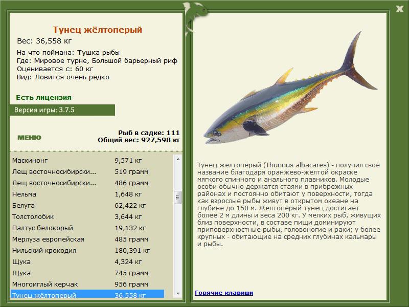 Где водится тунец карта