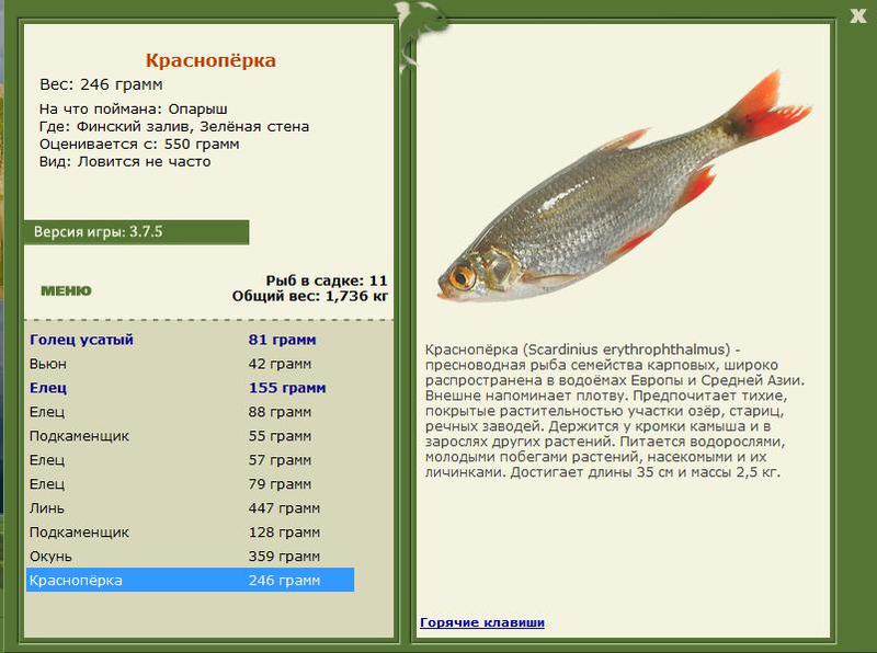 РУССКАЯ РЫБАЛКА Installsoft Edition 