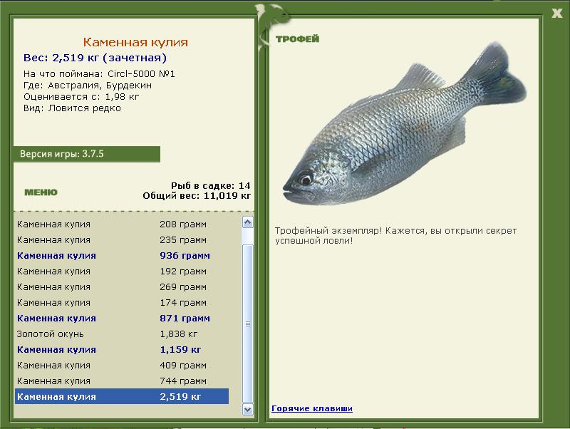 Бурдекин 