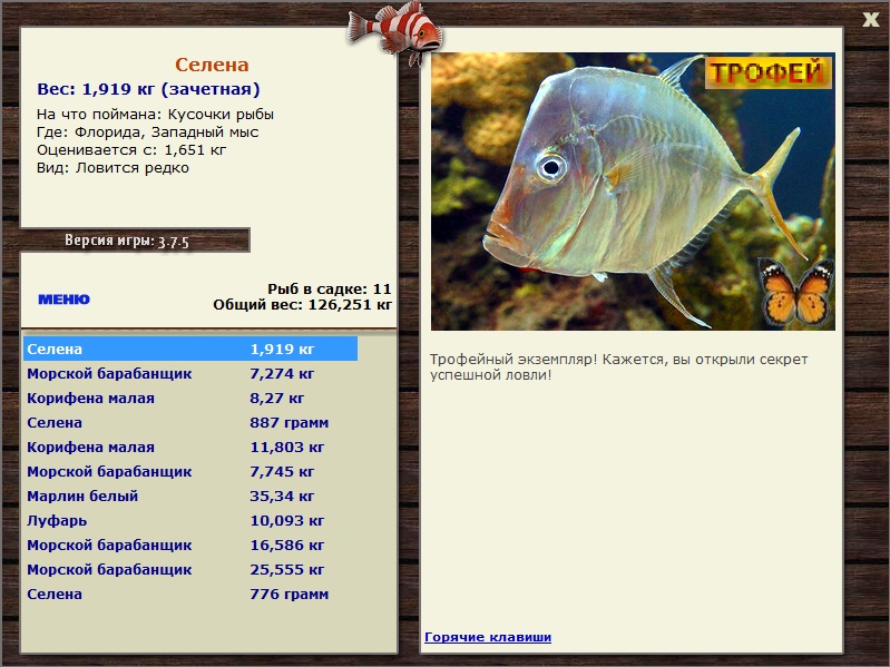 Кусочки рыбы 