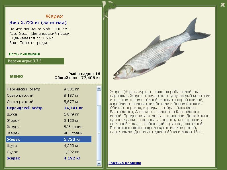 РУССКАЯ РЫБАЛКА Installsoft Edition 