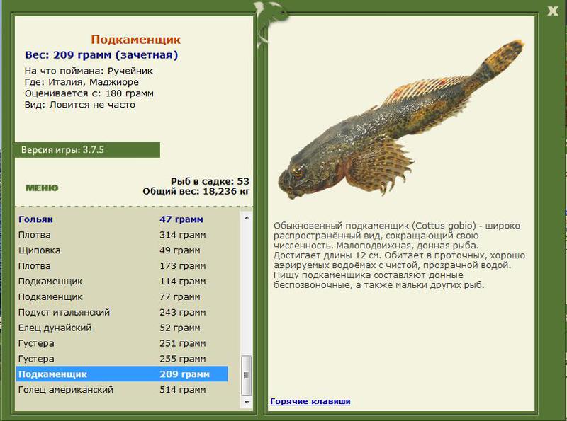 РУССКАЯ РЫБАЛКА Installsoft Edition 