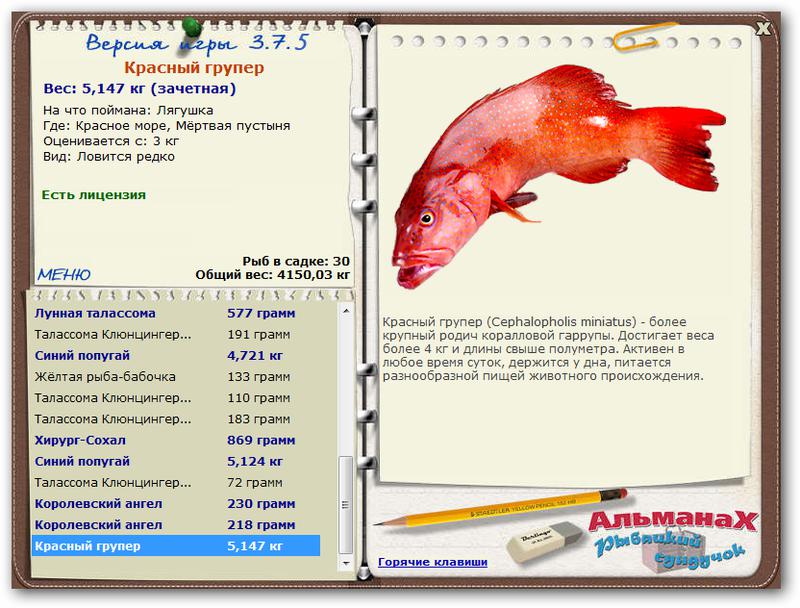 Красное море 