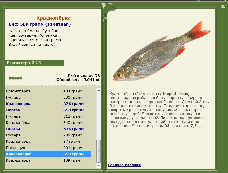Копринка 