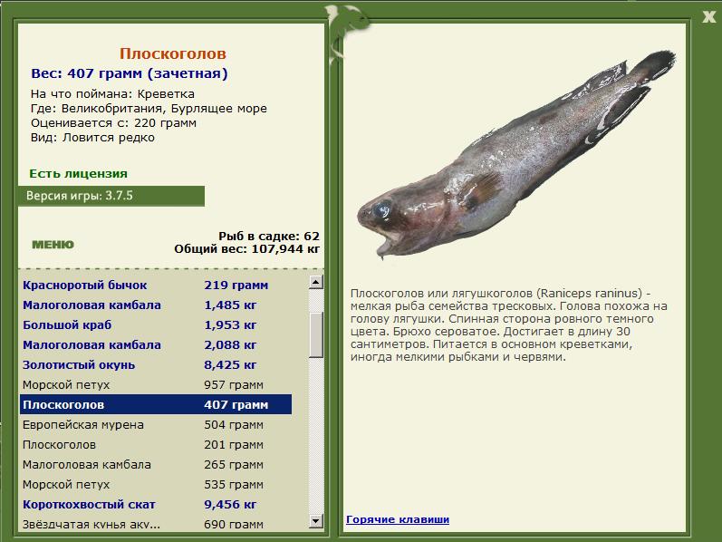 Бурлящее море 