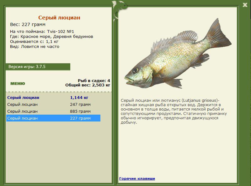 Деревня бедуинов 