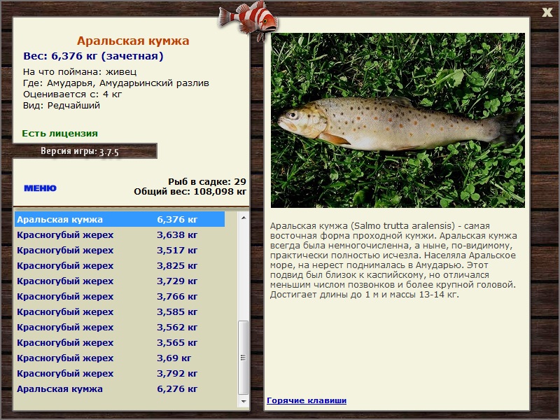 Амударьинский разлив 