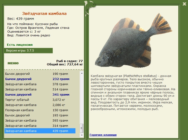 Ледяная стена 