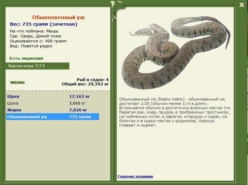 РУССКАЯ РЫБАЛКА Installsoft Edition 