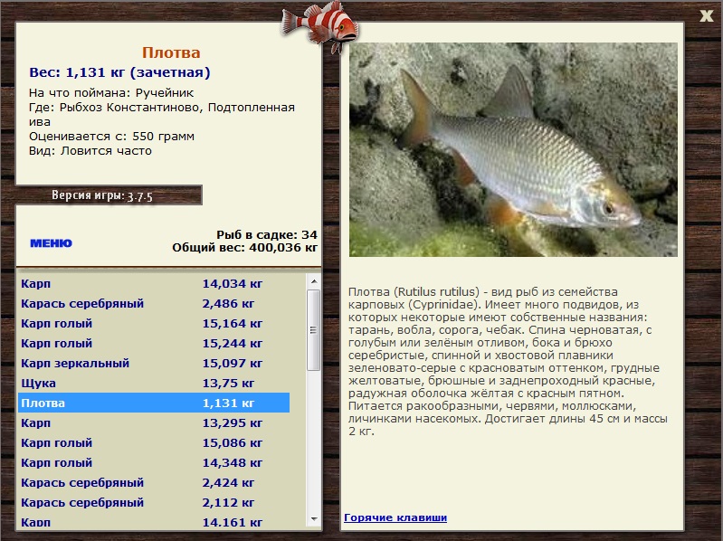 Рыбхоз Константиново 