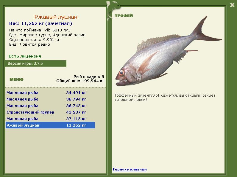 Ржавый луциан 
