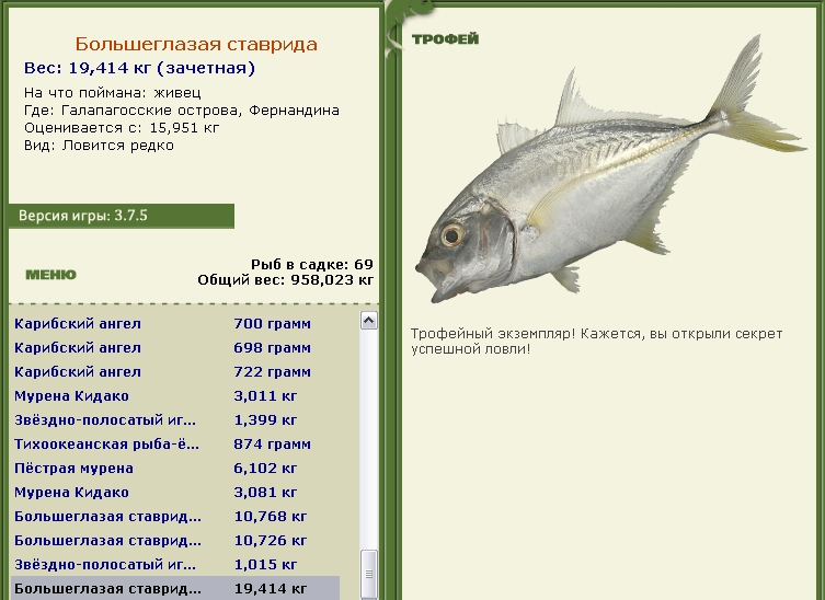 Большеглазая ставрида 