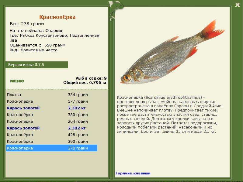 РУССКАЯ РЫБАЛКА Installsoft Edition 