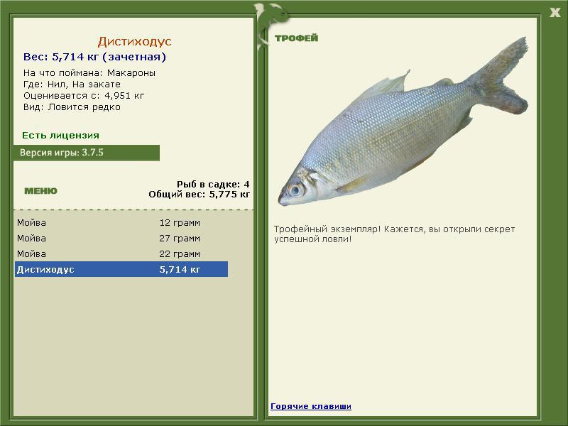 Дистиходус 