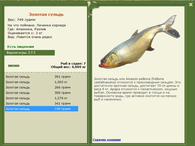 Разлив 